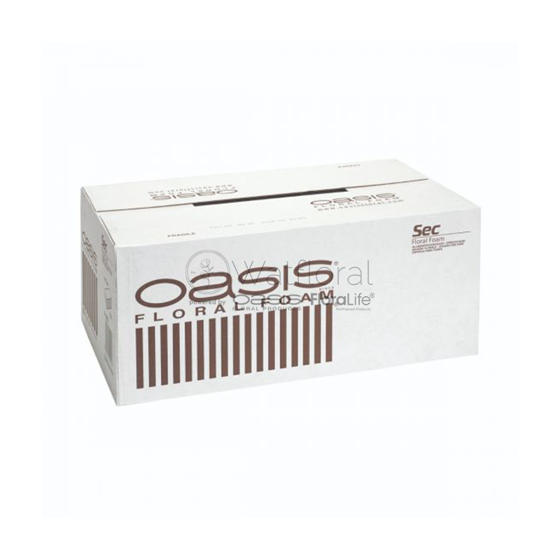 FLOWERBOX Oasis Spugna Decorativa Super KL 54 Cm - 2 Pezzi Con Nastro Adesivo Per Floristica Funebre E Allestimenti