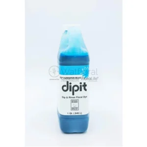Larkspur Blue