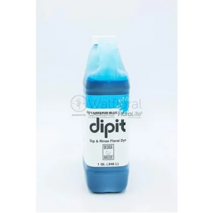 Larkspur Blue